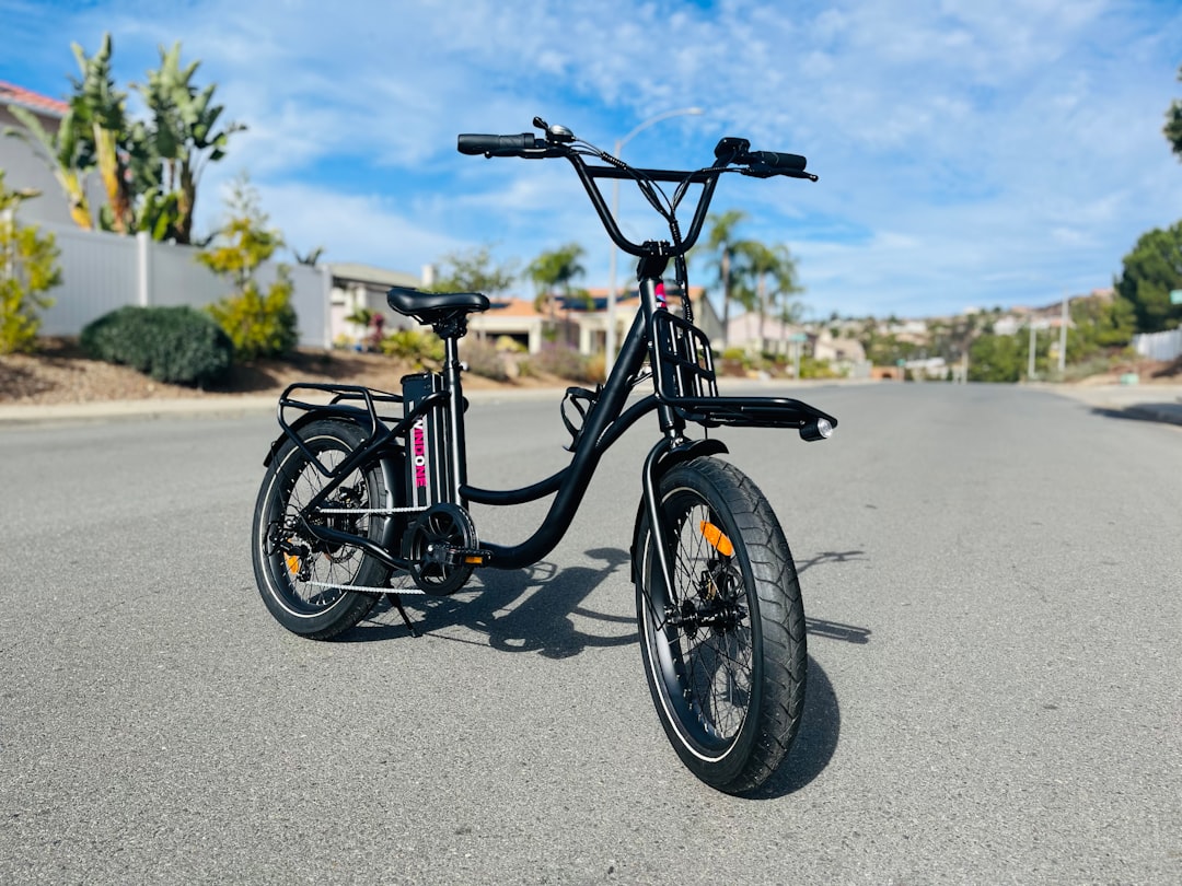 ランキング3位の特徴